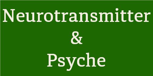 Neurotransmitter und Psyche